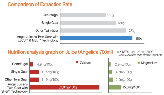 Angel Juicer 100 Stainless Steel Slow Juicer